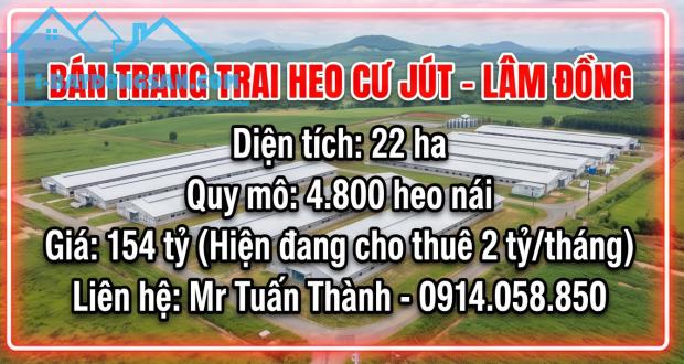 Bất động sản tại Đắk Nông - ảnh 1