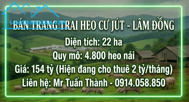 Bất động sản tại Đắk Nông - ảnh 1