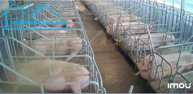 Bất động sản tại Lâm Đồng - ảnh 1
