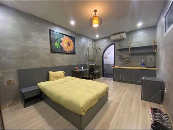 Bất động sản tại Đà Nẵng - ảnh 1