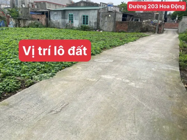 Bất động sản tại Hải Phòng - ảnh 1