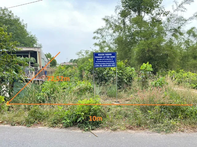 Bất động sản tại Bình Dương - ảnh 1
