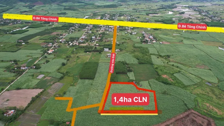 Bất động sản tại Khánh Hòa - ảnh 1