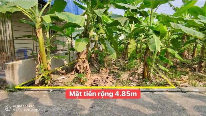 Bất động sản tại Hải Phòng - ảnh 1