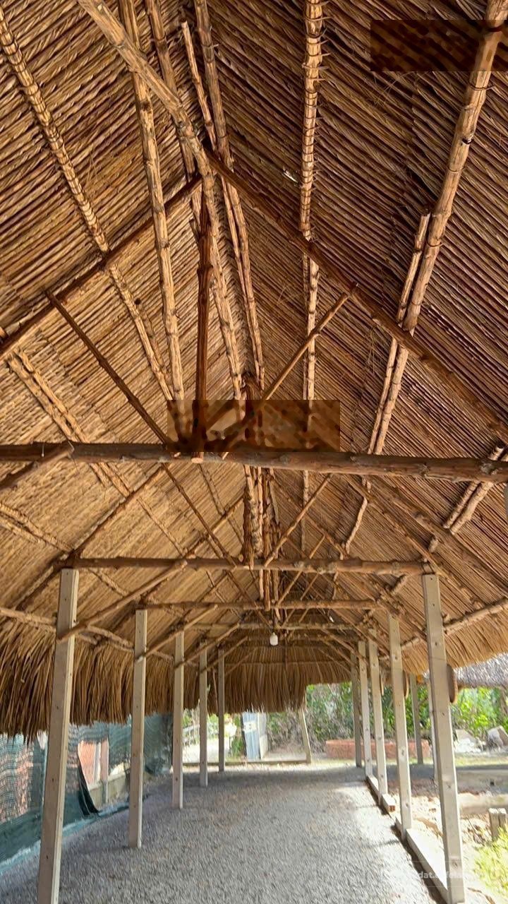 Bất động sản tại Tây Ninh - ảnh 1