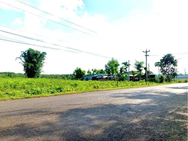 Bất động sản tại Bình Phước - ảnh 1