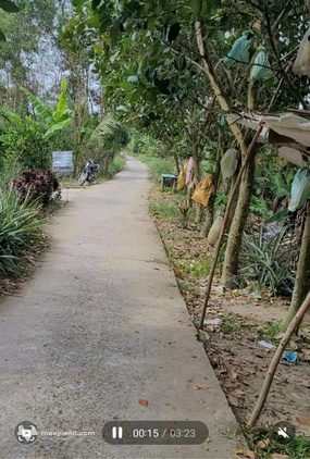 Bất động sản tại Vĩnh Long - ảnh 1