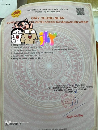 Bất động sản tại Đắk Lắk - ảnh 1