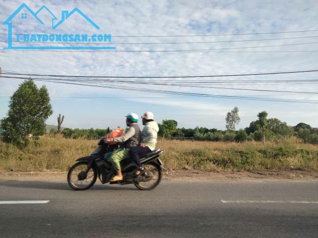 Bất động sản tại Bà Rịa - Vũng Tàu - ảnh 1