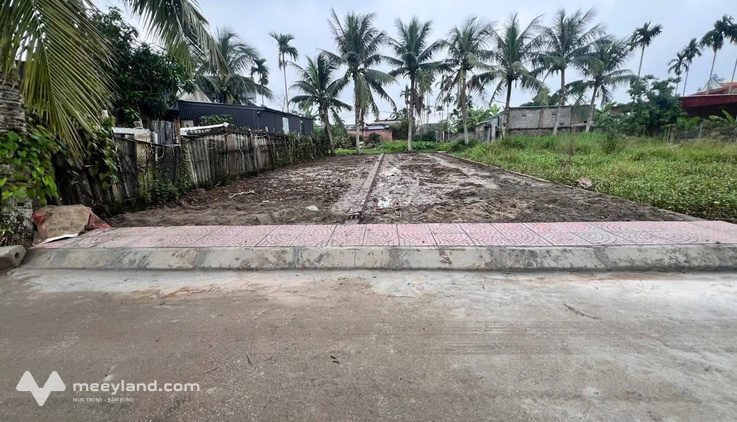 Bất động sản tại Hải Phòng - ảnh 1