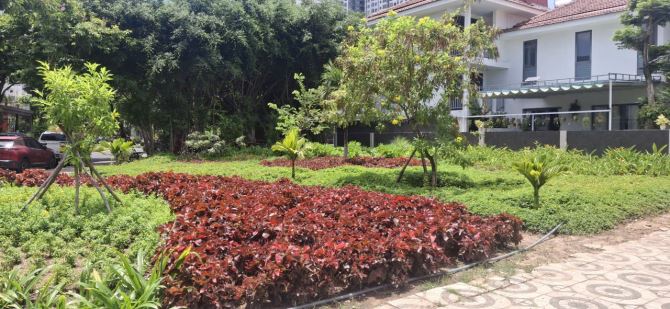 Bất động sản tại Đà Nẵng - ảnh 1
