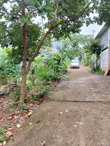 Bất động sản tại Đắk Lắk - ảnh 1