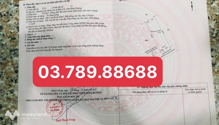 Bất động sản tại Bình Dương - ảnh 1