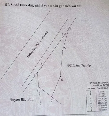 Bất động sản tại Lâm Đồng - ảnh 1
