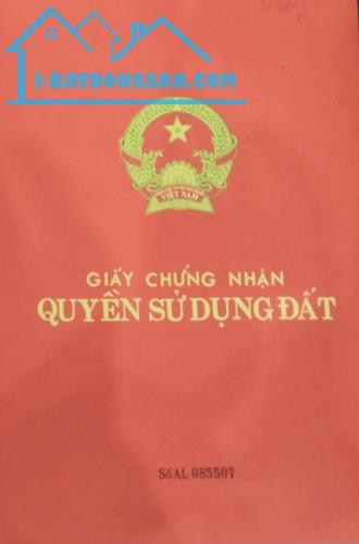 Bất động sản tại Đà Nẵng - ảnh 1