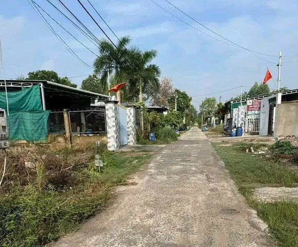 Bất động sản tại Bình Dương - ảnh 1