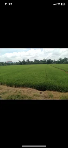 Bất động sản tại Long An - ảnh 1
