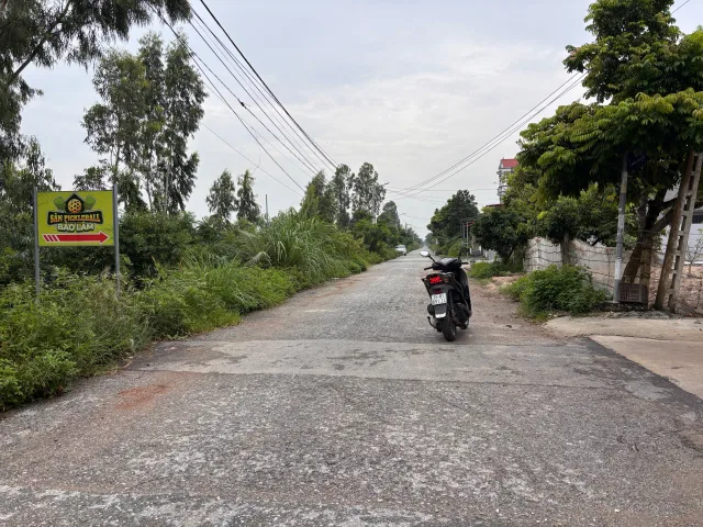 Bất động sản tại Hải Phòng - ảnh 1