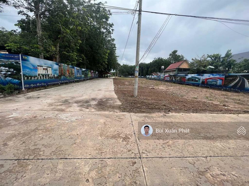Bất động sản tại Bình Dương - ảnh 1