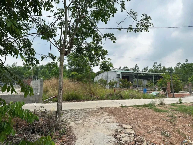 Bất động sản tại Bình Dương - ảnh 1