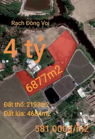Bất động sản tại Long An - ảnh 1