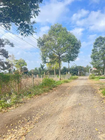 Bất động sản tại Đắk Lắk - ảnh 1