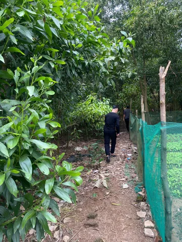 Bất động sản tại Phú Thọ - ảnh 1