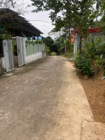 Bất động sản tại Phú Thọ - ảnh 1