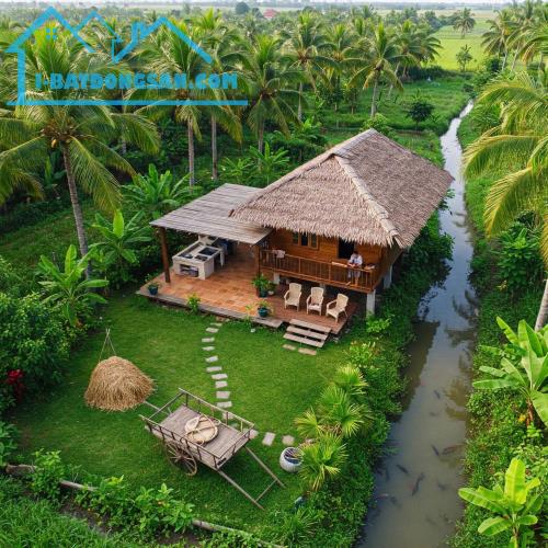 Bất động sản tại Đồng Tháp - ảnh 1