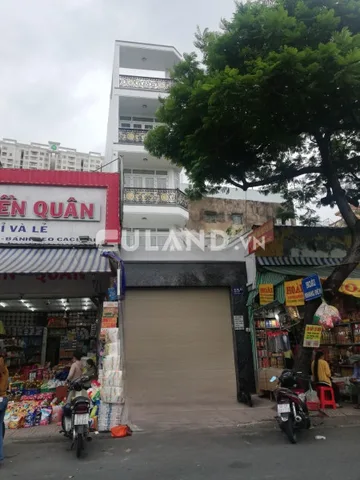 Bất động sản tại TP. Hồ Chí Minh - ảnh 1