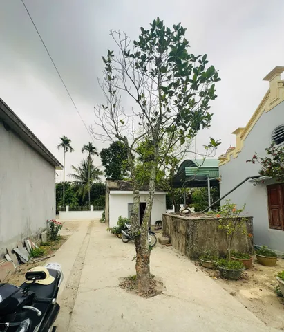 Bất động sản tại Hải Phòng - ảnh 1