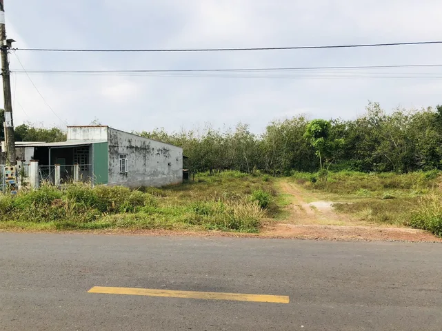 Bất động sản tại Bình Dương - ảnh 1