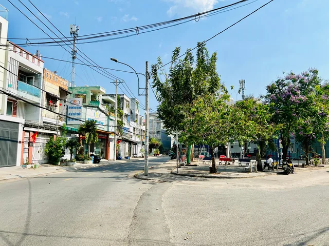 Bất động sản tại TP. Hồ Chí Minh - ảnh 1