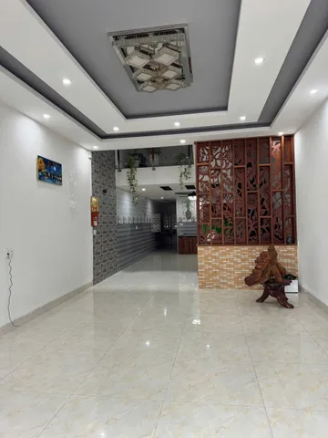 Bất động sản tại Đà Nẵng - ảnh 1