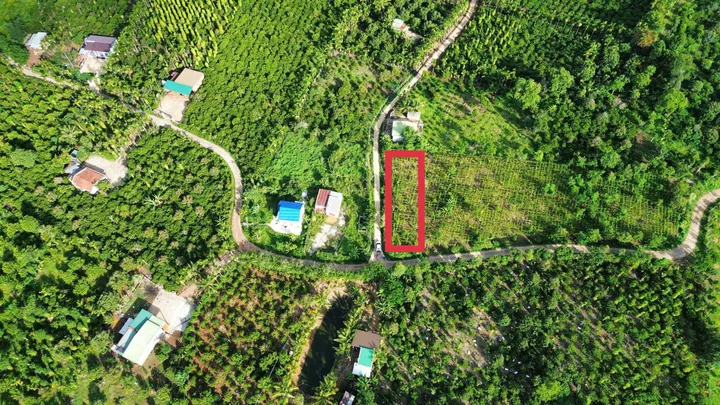 Bất động sản tại Đắk Lắk - ảnh 1