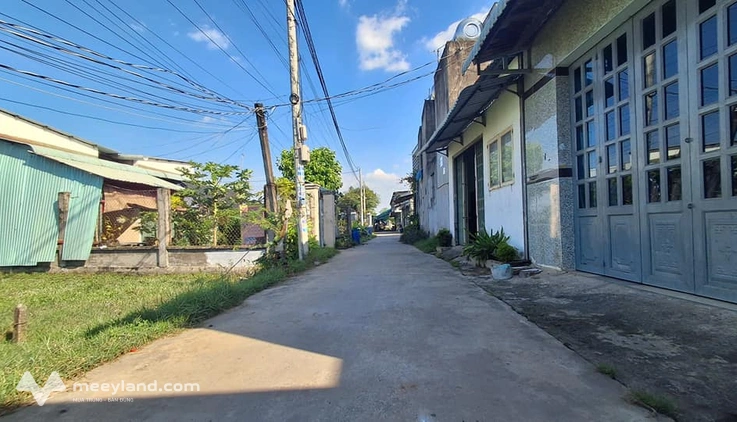 Bất động sản tại Long An - ảnh 1