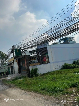 Bất động sản tại Long An - ảnh 1
