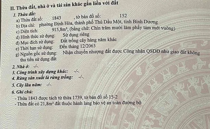 Bất động sản tại Bình Dương - ảnh 1