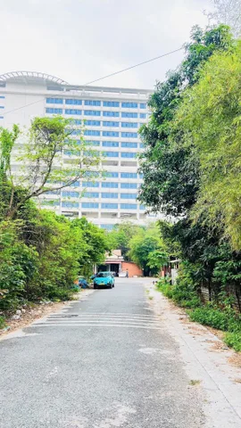 Bất động sản tại Bình Dương - ảnh 1