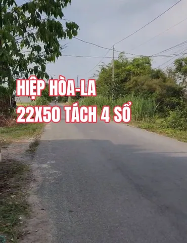 Bất động sản tại Long An - ảnh 1