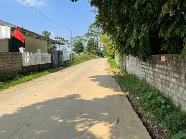 Bất động sản tại Phú Thọ - ảnh 1