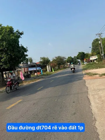 Bất động sản tại Bình Dương - ảnh 1