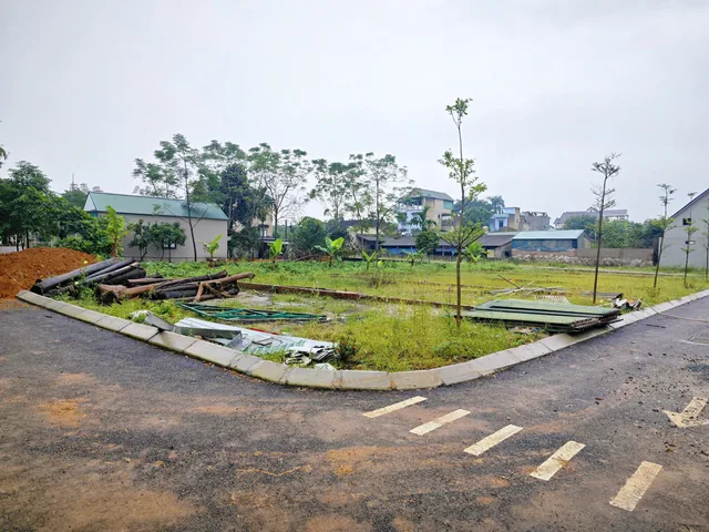 Bất động sản tại Hà Nội - ảnh 1