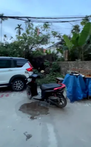 Bất động sản tại Hải Phòng - ảnh 1