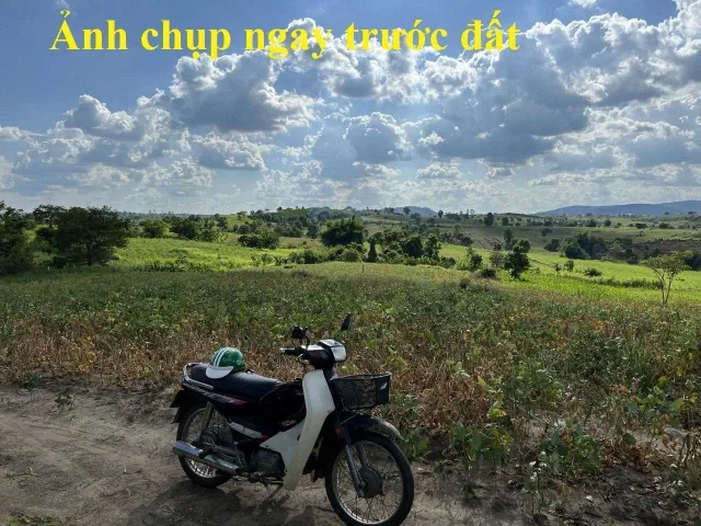 Bất động sản tại Đắk Lắk - ảnh 1