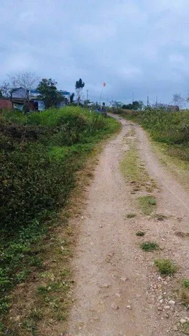 Bất động sản tại Đắk Lắk - ảnh 1