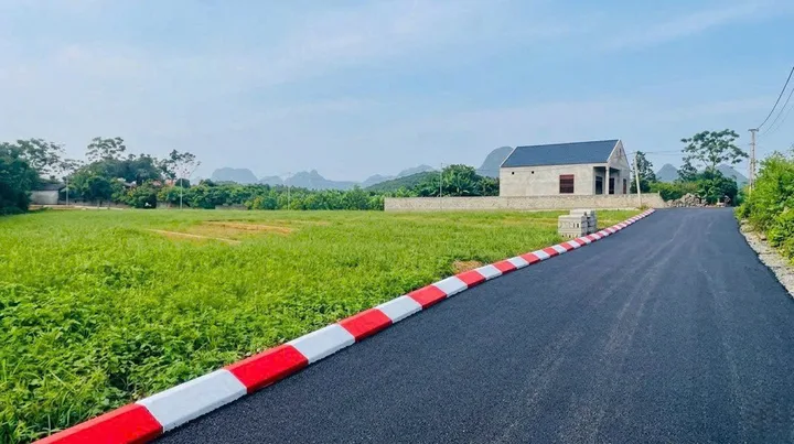 Bất động sản tại Phú Thọ - ảnh 1