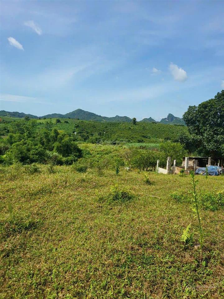 Bất động sản tại Hòa Bình - ảnh 1