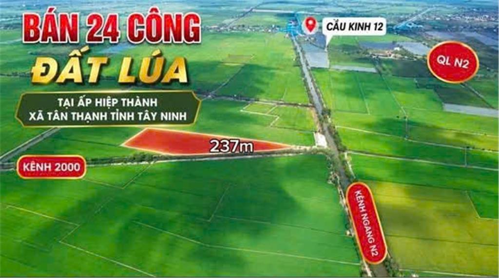 Bất động sản tại Long An - ảnh 1