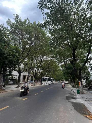 Bất động sản tại Đà Nẵng - ảnh 1